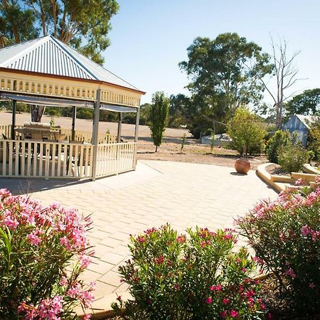 Barossa Vineyard Cottages تانوندا المظهر الخارجي الصورة