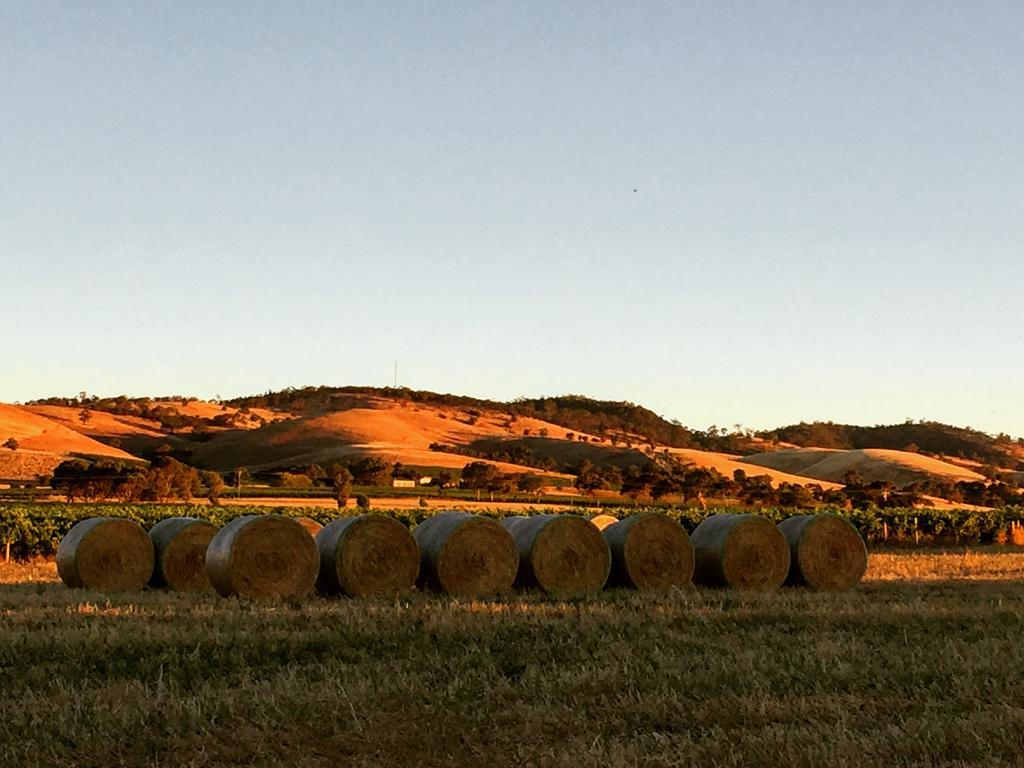 Barossa Vineyard Cottages تانوندا المظهر الخارجي الصورة