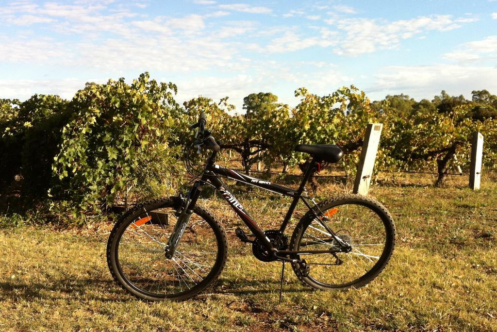 Barossa Vineyard Cottages تانوندا المظهر الخارجي الصورة