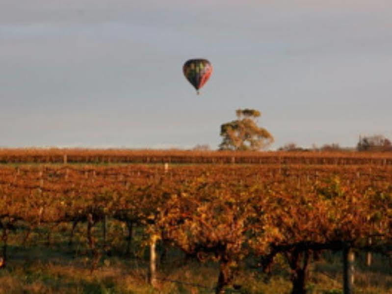 Barossa Vineyard Cottages تانوندا المظهر الخارجي الصورة