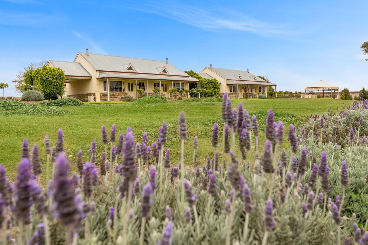 Barossa Vineyard Cottages تانوندا المظهر الخارجي الصورة