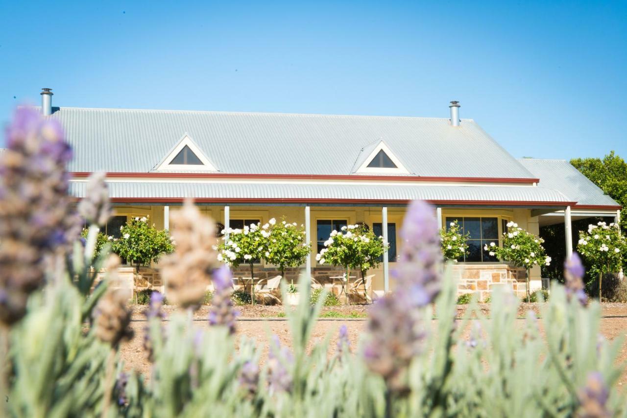 Barossa Vineyard Cottages تانوندا المظهر الخارجي الصورة